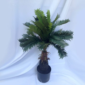 Cycas Palm 3ft - Artificial Trees & Floor Plants - Minature palm trees